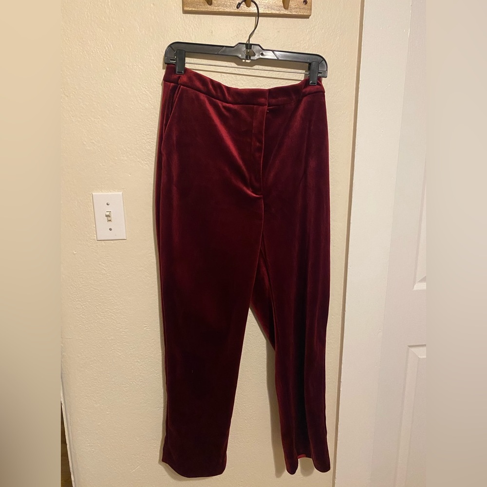 Express Deep Red Velvet Ankle Pants